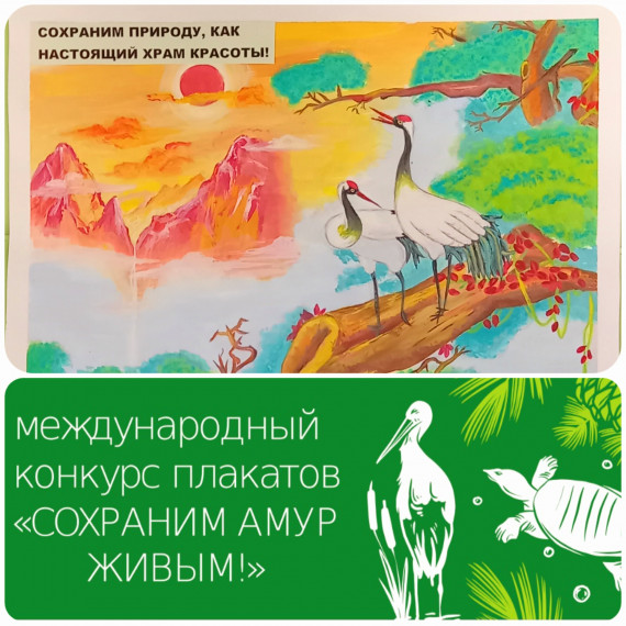 Международного конкурса плакатов «Сохраним Амур живым!» .